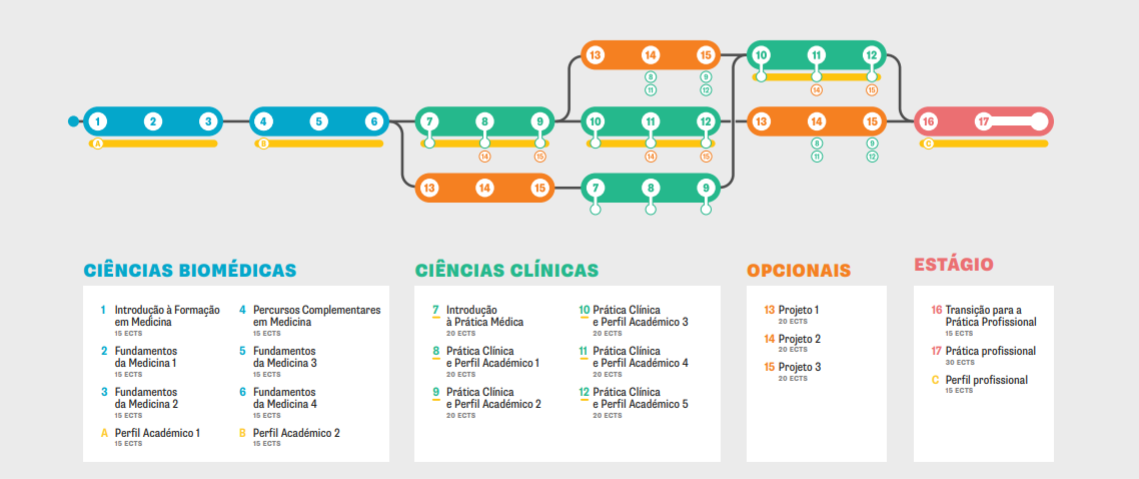 Plano de Estudos