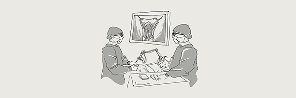 Hypospadias Repair - Exoscopic Live Surgery